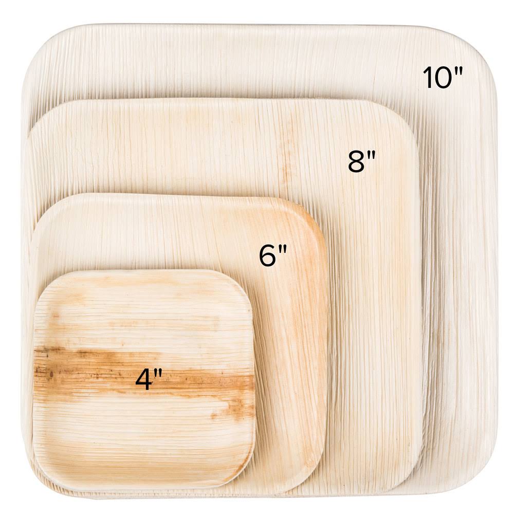 6x22 Square Palm Leaf Plate 100-ct Case L25134