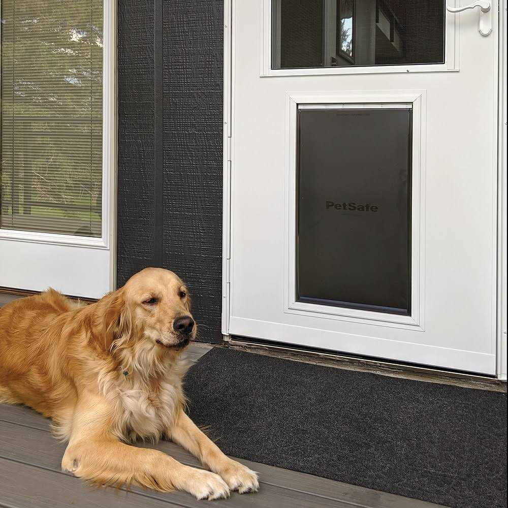 White High-view Wood Core Storm Door P769046