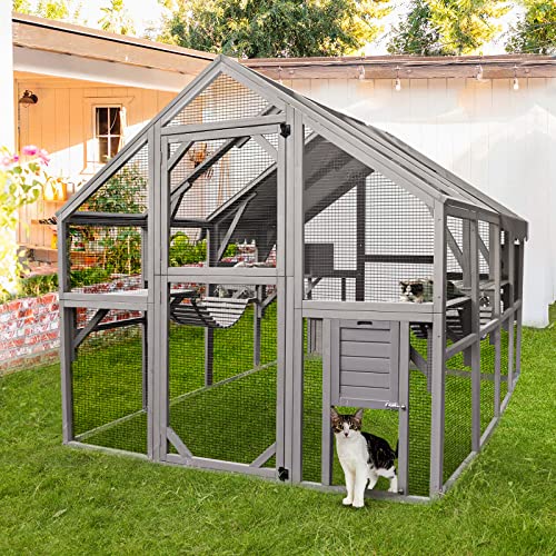 Outdoor Cat Enclosure with Bridges K7224