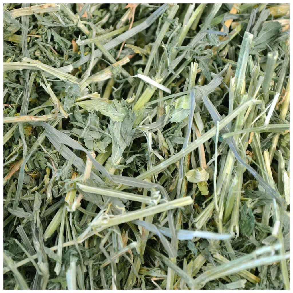 Alfalfa Hay Pet Supplies H455