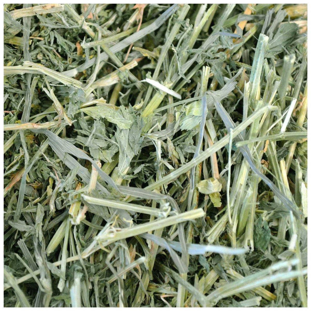 Alfalfa Hay Pet Supplies H455