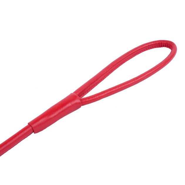 Leather Dog Leash J691