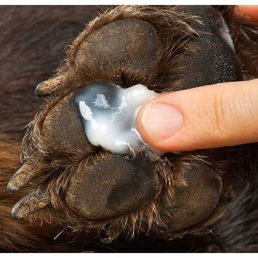 Anti-Itch Hot Spot Relief for Pets with Hydrocortisone J387