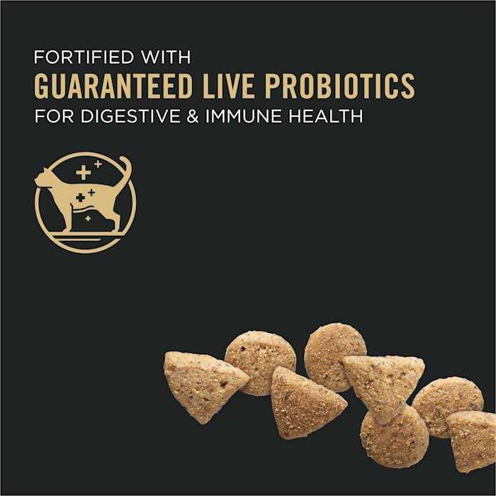 Grain Free High Protein Natural Dry Kitten Food O659311