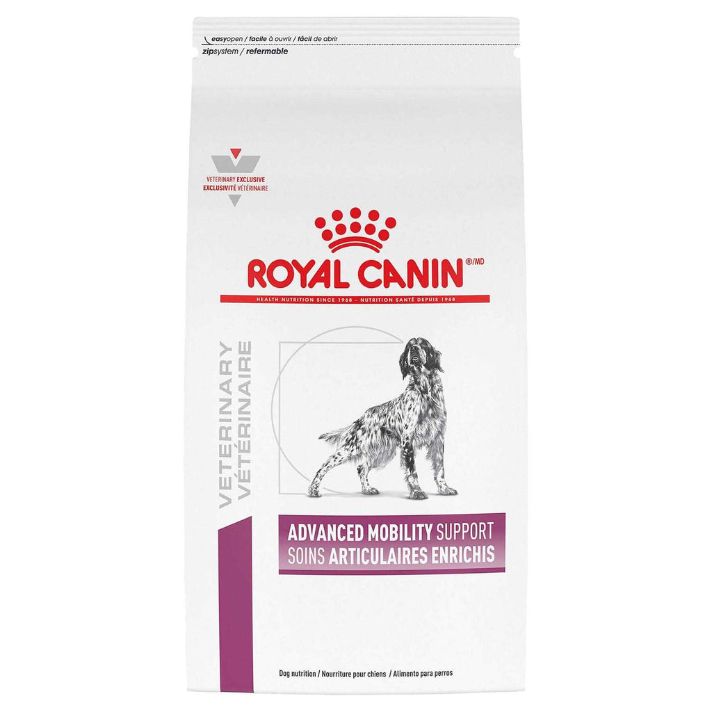 Adult Dry Dog Food I798779