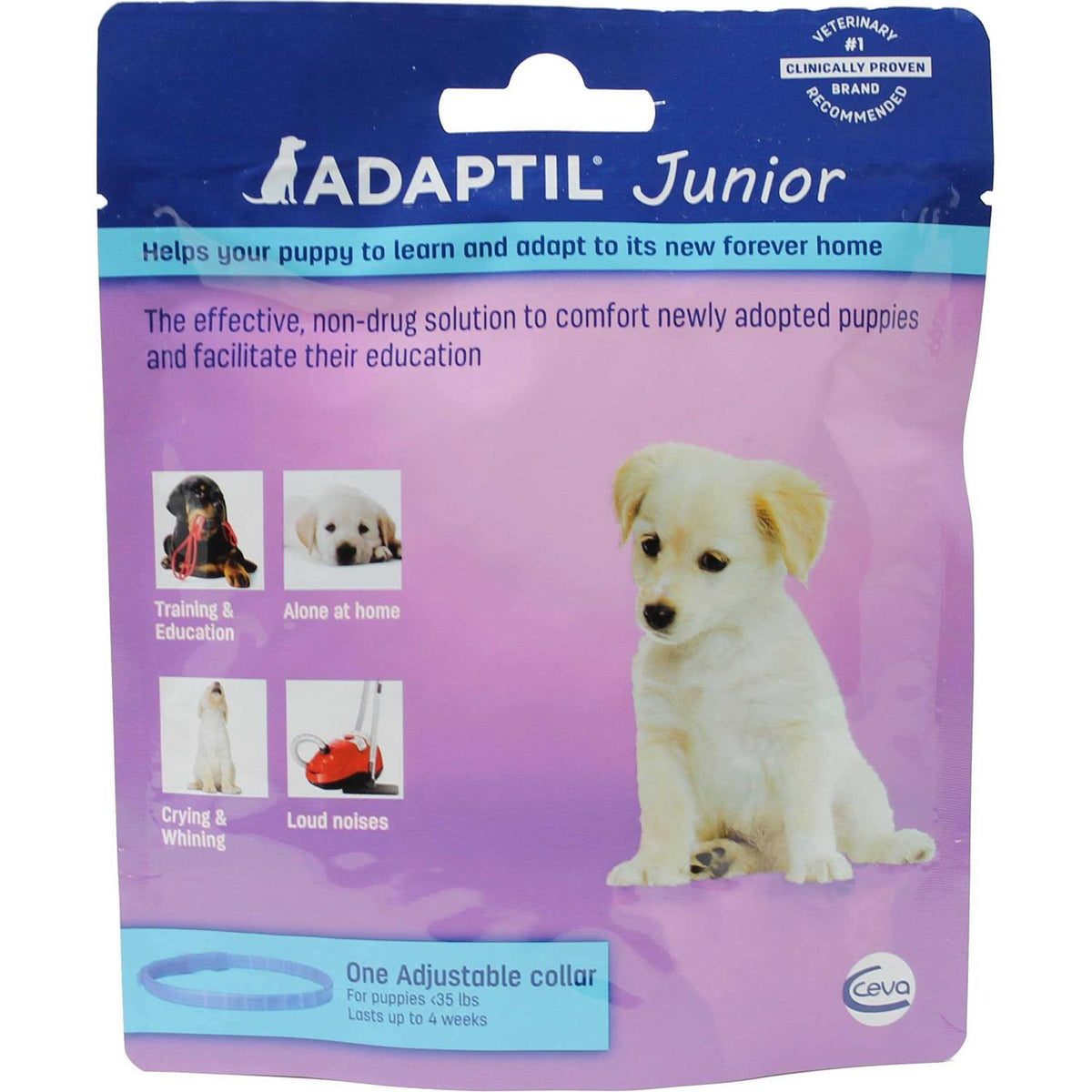 Junior Collar B2908