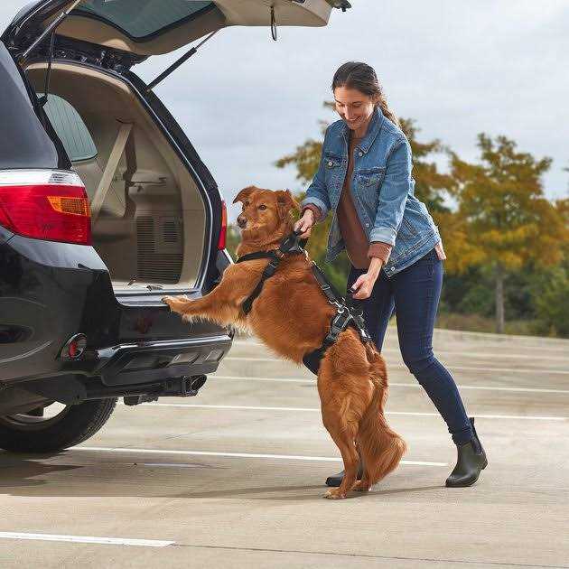 Front Rear Lift Dog Harness C1375