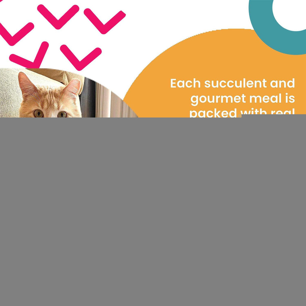 Wet Cat Food with Tuna and Pumpkin K926
