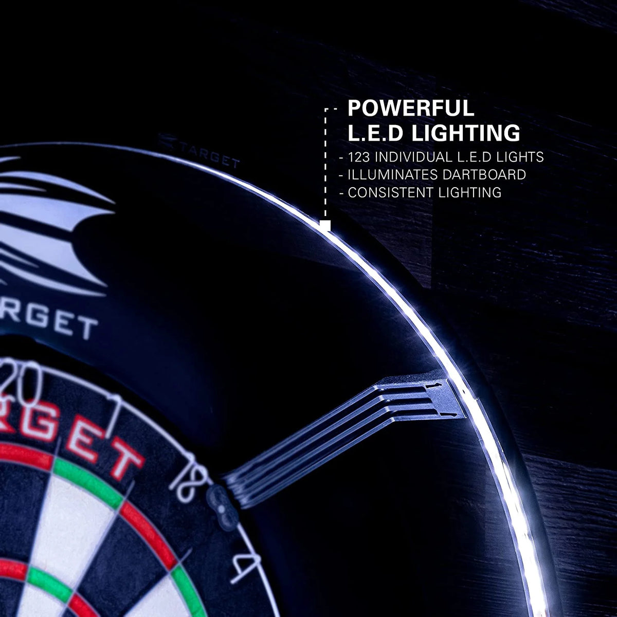 Dartboard with Lighting System O421245