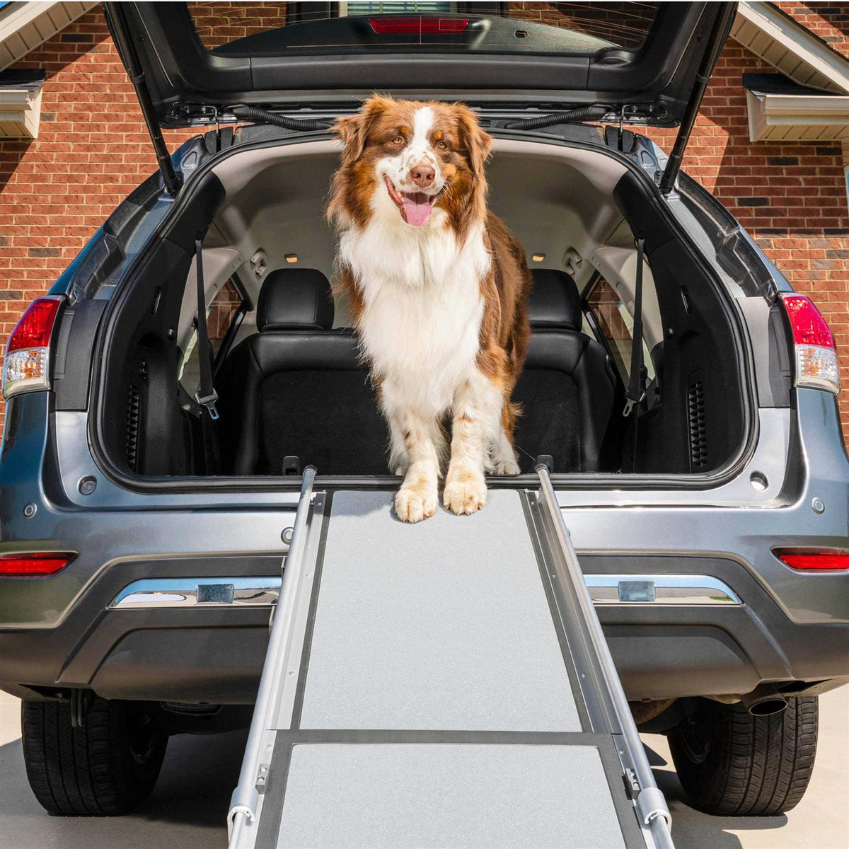 Telescoping Pet Ramp P9209