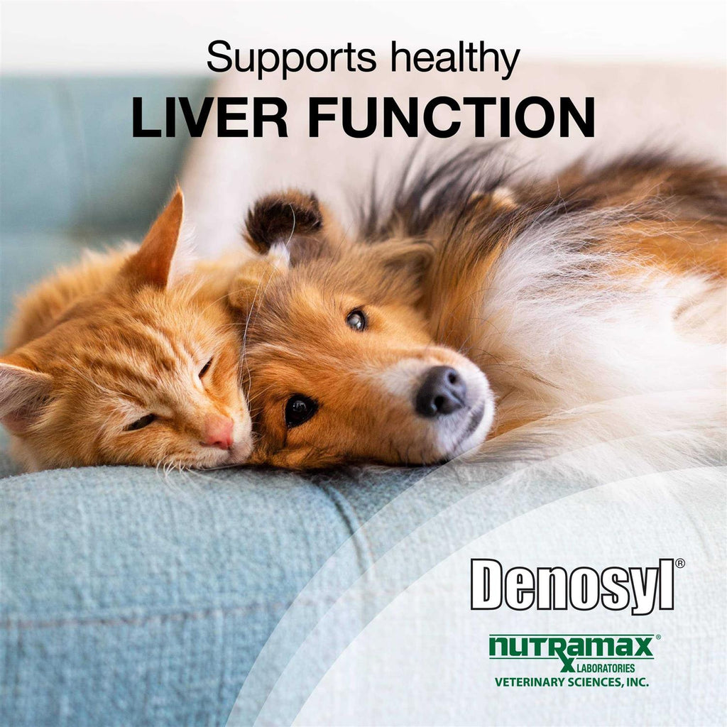 Liver and Brain Health Supplement for Small Dogs & Cats Q9160