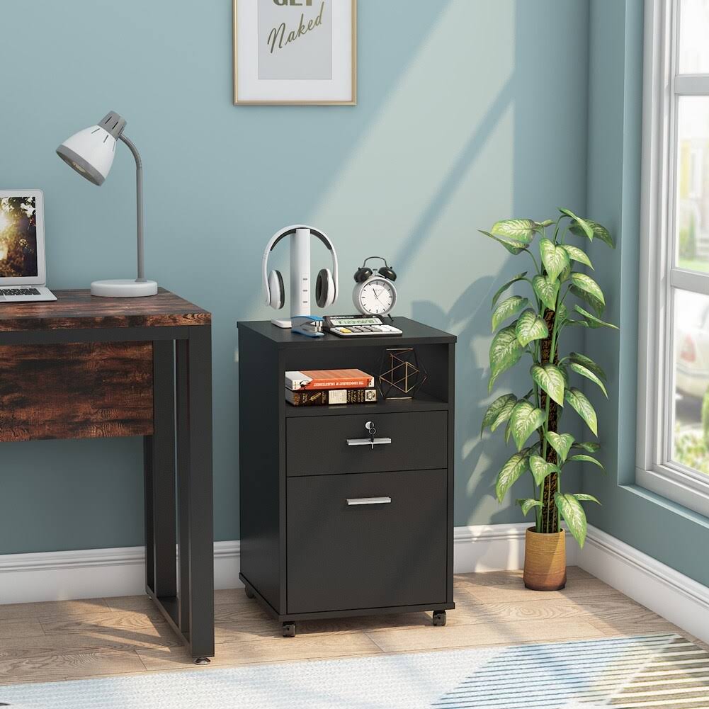 Black 2 Drawer Mobile File Cabinet with Lock F9345