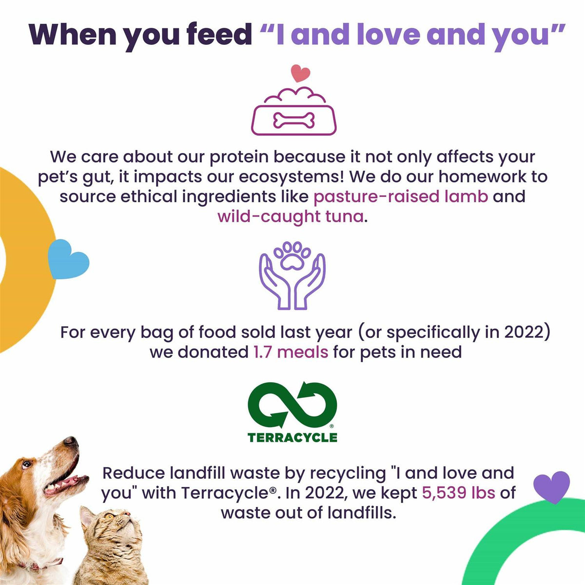 Wet Cat Food with Tuna and Pumpkin K926