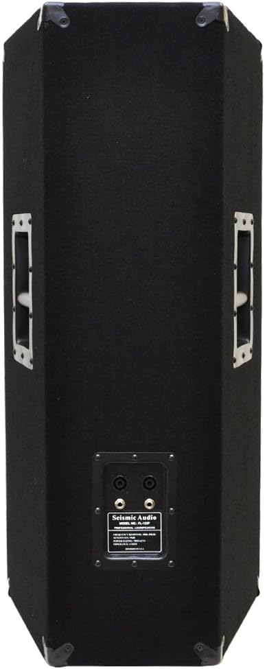 Pair of Dual 12 PA/DJ Speaker Cabinets with Titanium Horns, 700 Watts RMS per Cabinet W2277