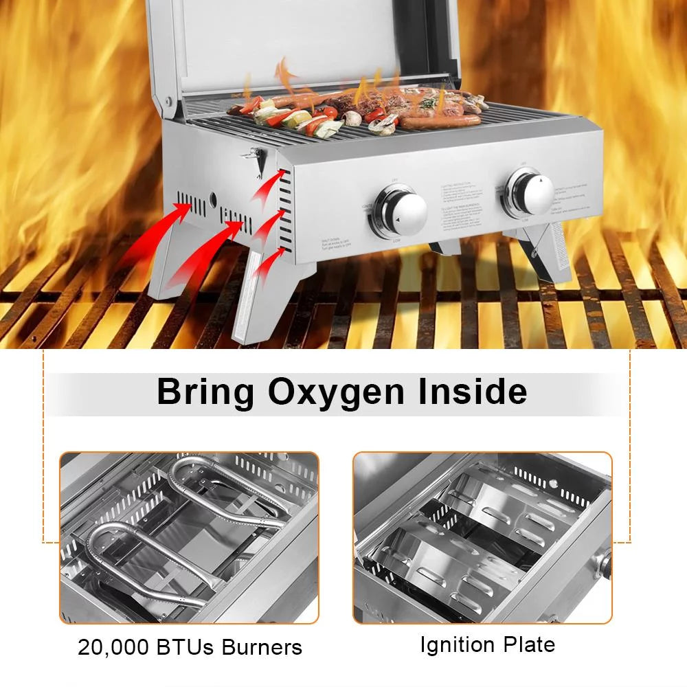 Portable Two-Burner Propane Gas Grill C898048