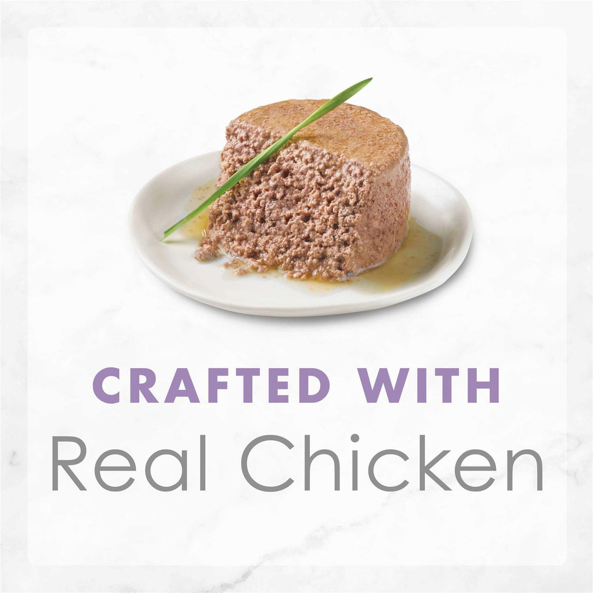 Grain Free Pate Wet Kitten Food C316