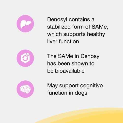 Liver and Brain Health Supplement for Small Dogs & Cats Q9160