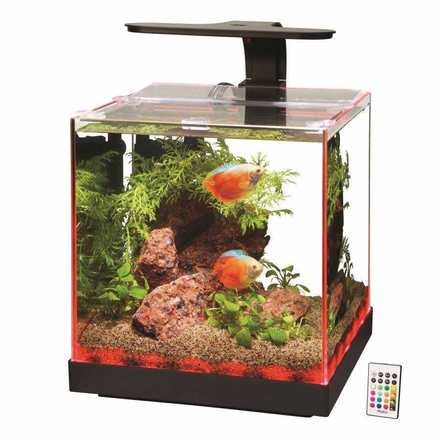 Aquarium L54329