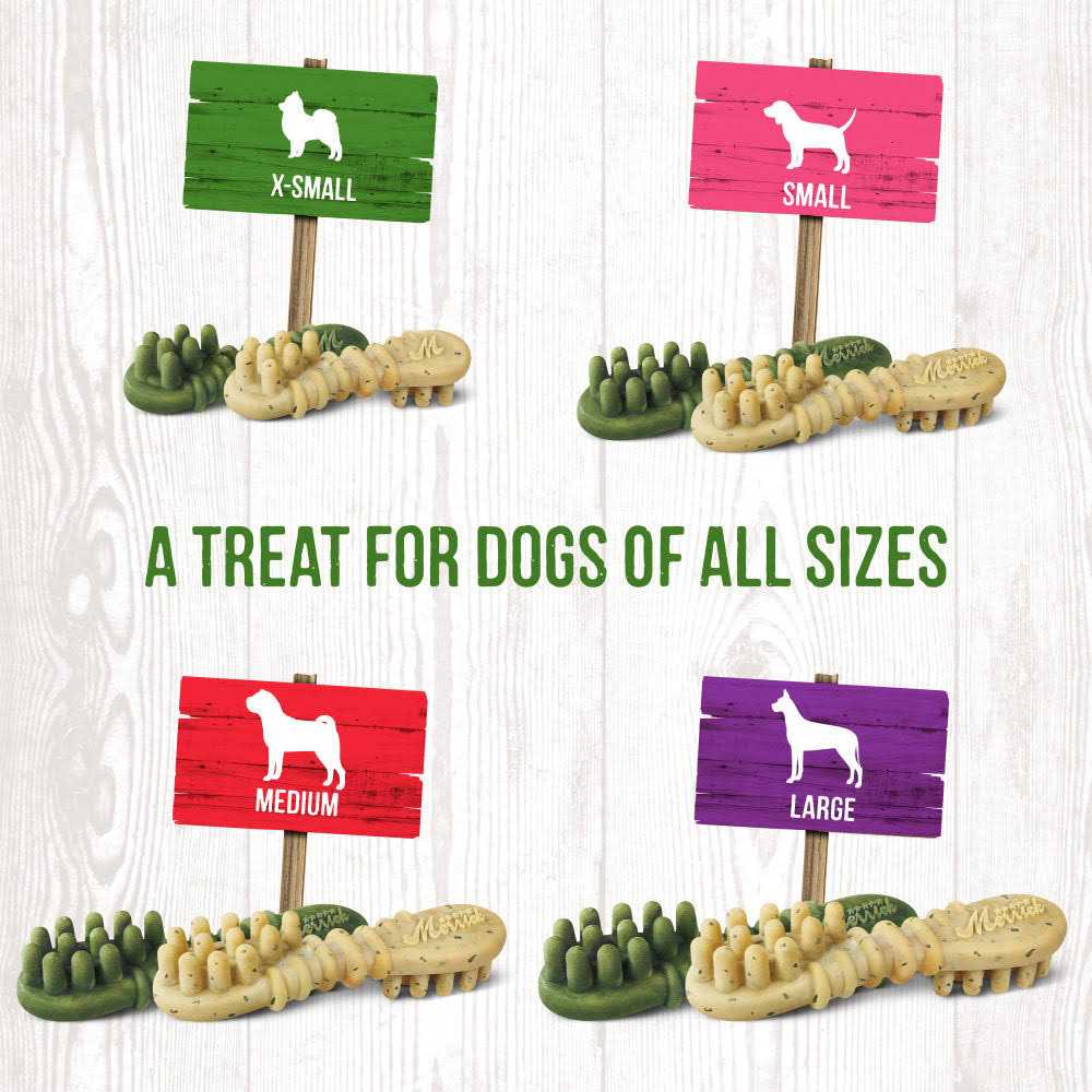 Dental Dog Treats R24271