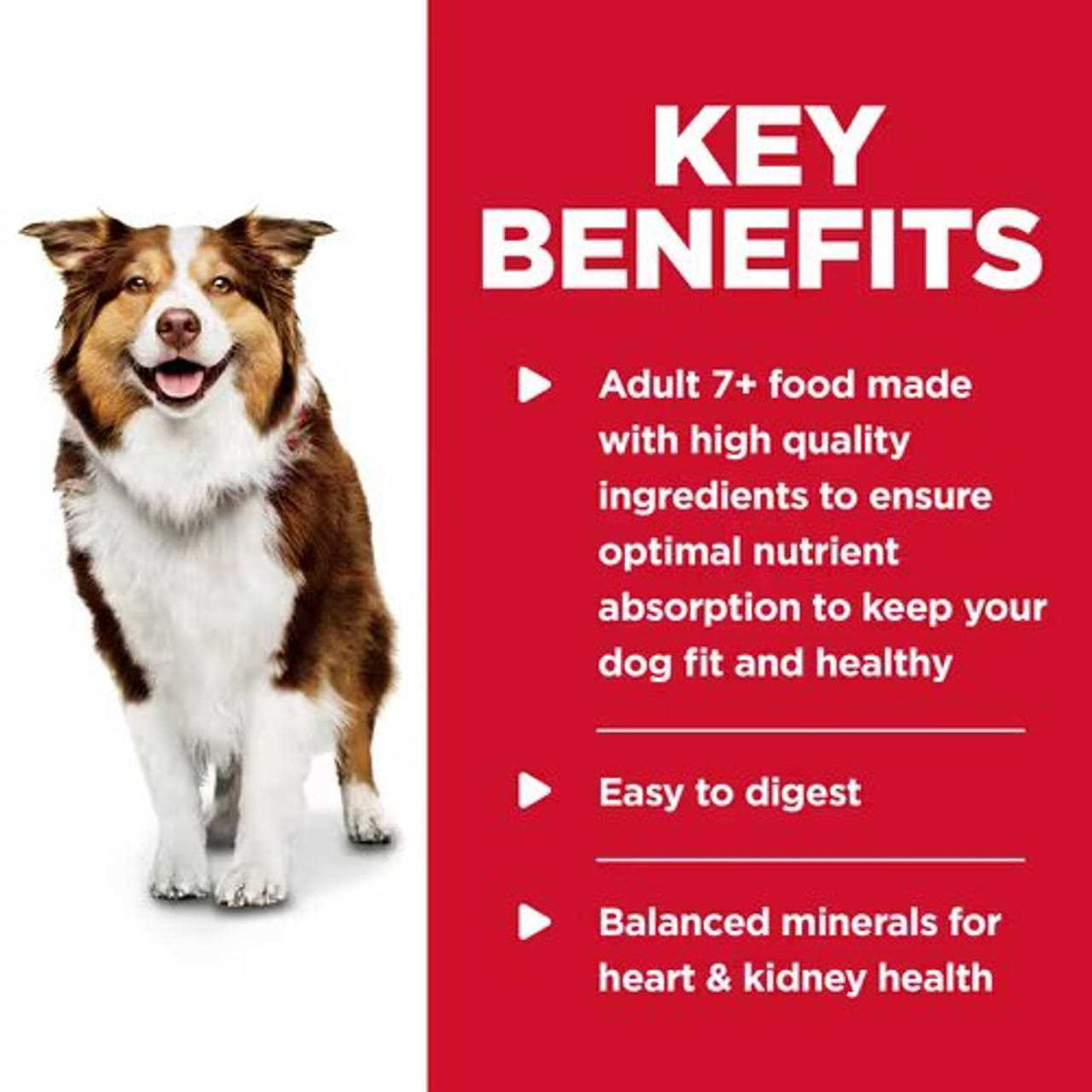 Adult 7+ Beef & Barley Entree Dog Food C5427