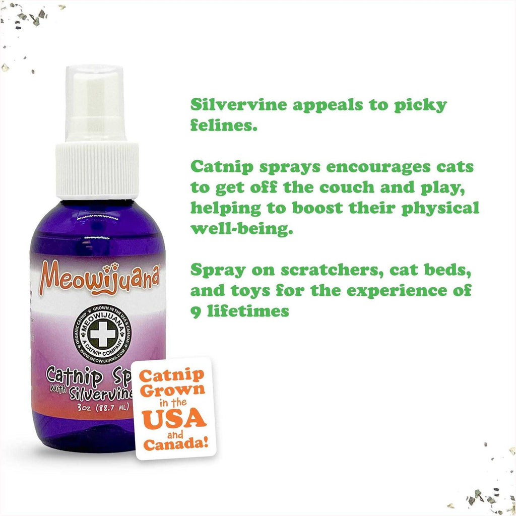 Catnip Spray with Silvervine B236049