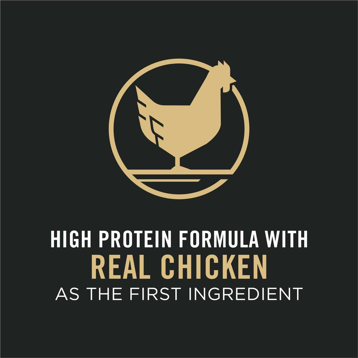 Adult Dog Food Shredded Blend Chicken Rice Formula X526105