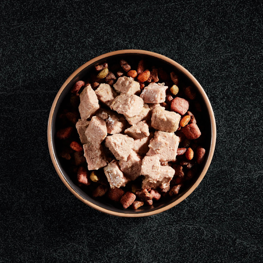 Filet Mignon & Porterhouse Steak Wet Dog Food 3.5 oz 36 ct V3235