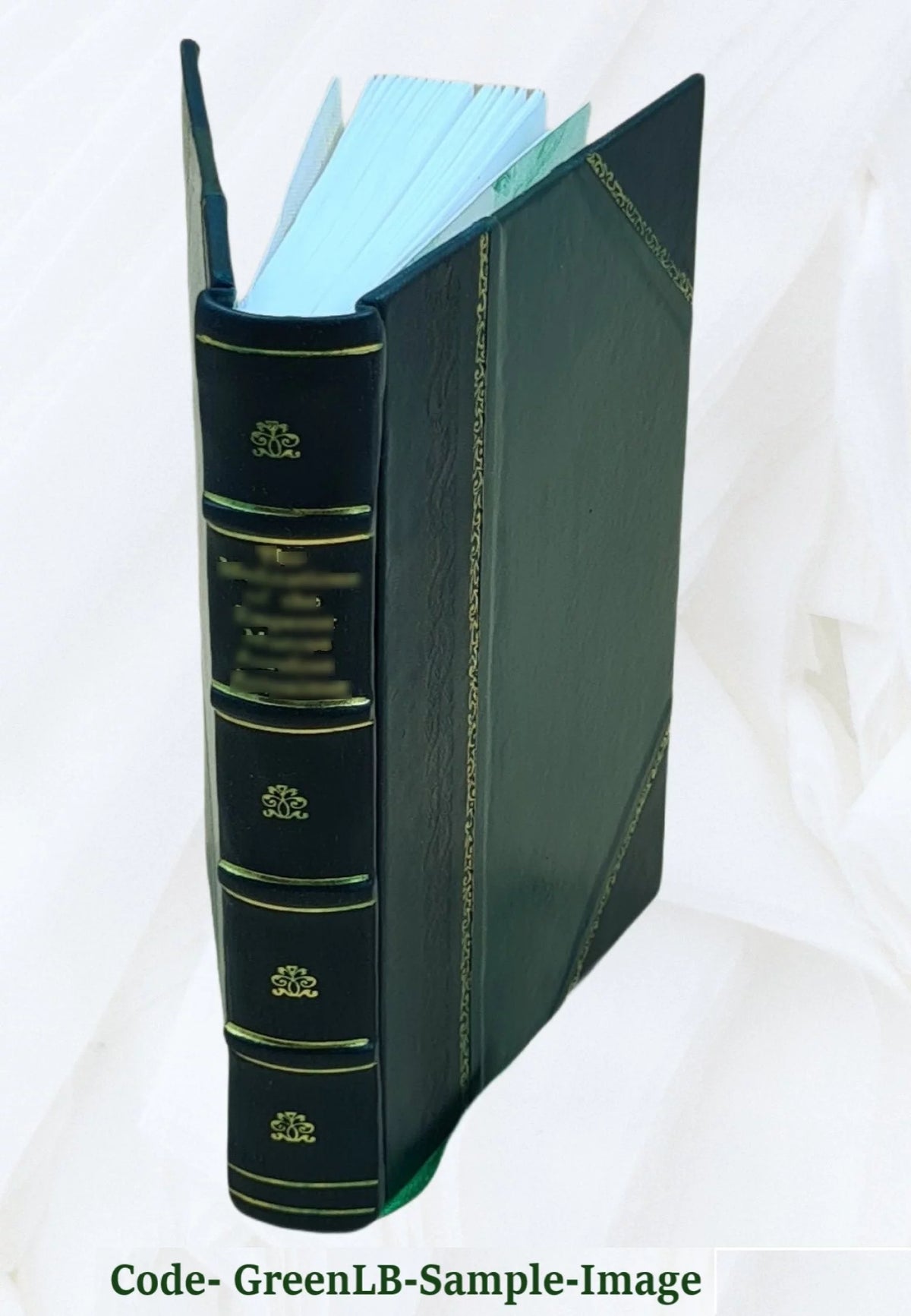 Leather Bound Q56483