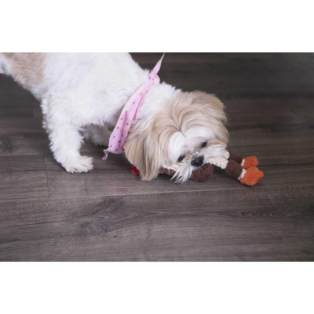 Skinny Rooster Dog Toy F673